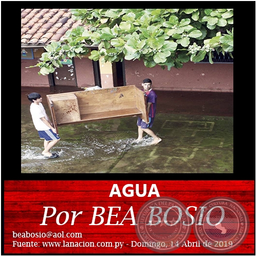 AGUA - Por BEA BOSIO - Domingo, 14 Abril de 2019